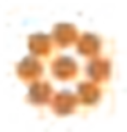 Facette Épicée