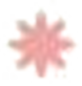 Facette olfactive Florale — jasmin, rose, muguet, tubéreuse